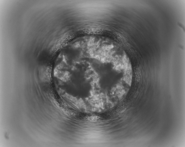 X0000102240695200808151754