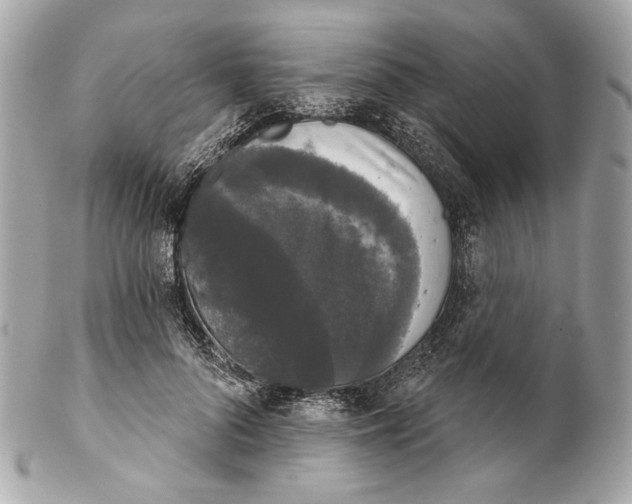 X0000102240696200808151754