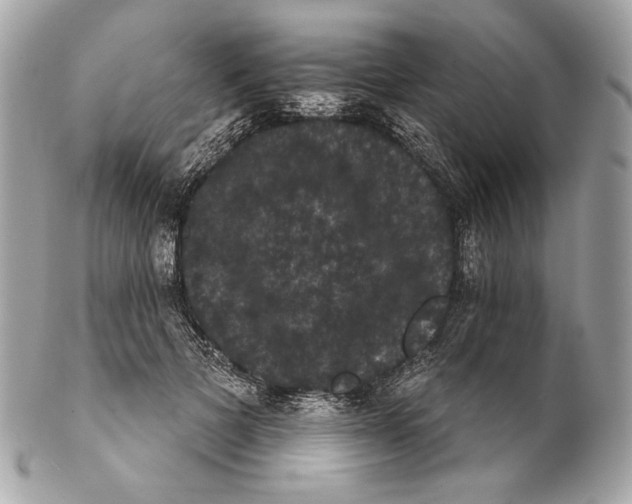 X0000102240697200808151754