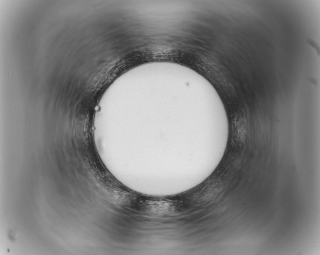 X0000102240698200808151754