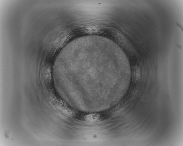 X0000102240700200808151754