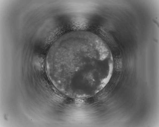 X0000102240701200808151754