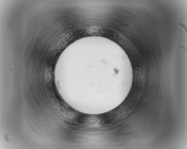 X0000102240702200808151754