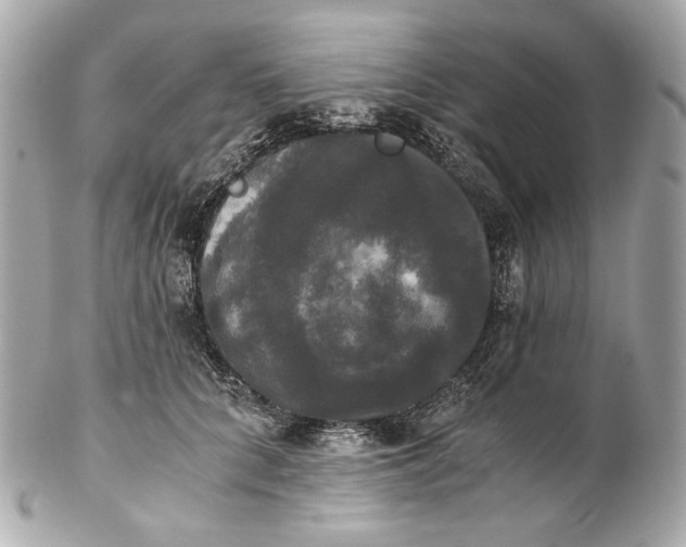 X0000102240704200808151753