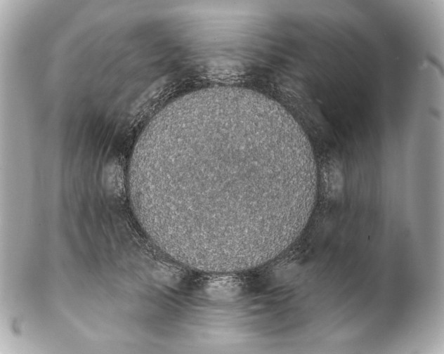 X0000102240705200808151753