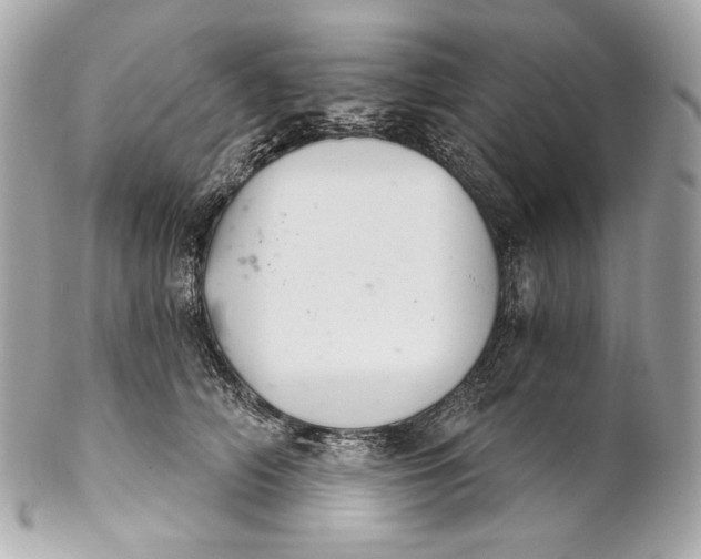 X0000102240706200808151753