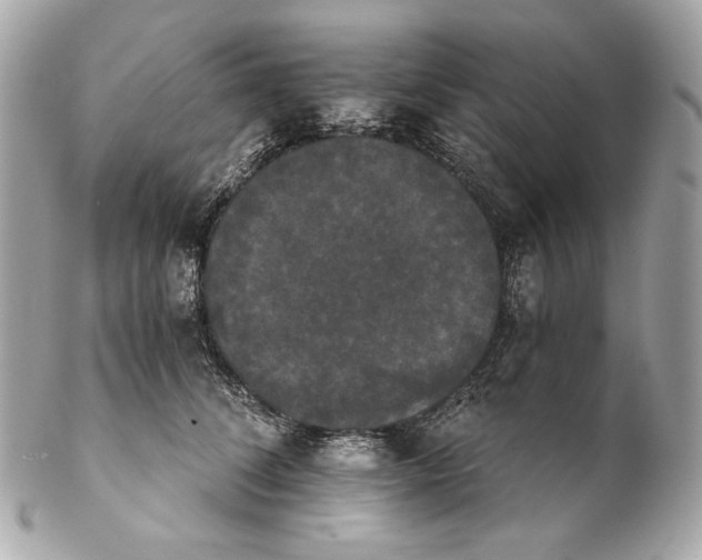 X0000102240708200808151753