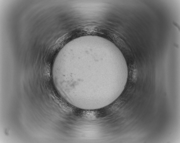 X0000102240710200808151753