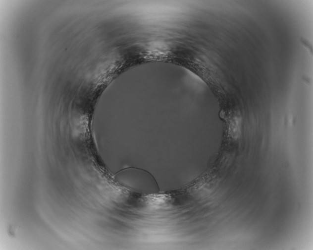 X0000102240711200808151753