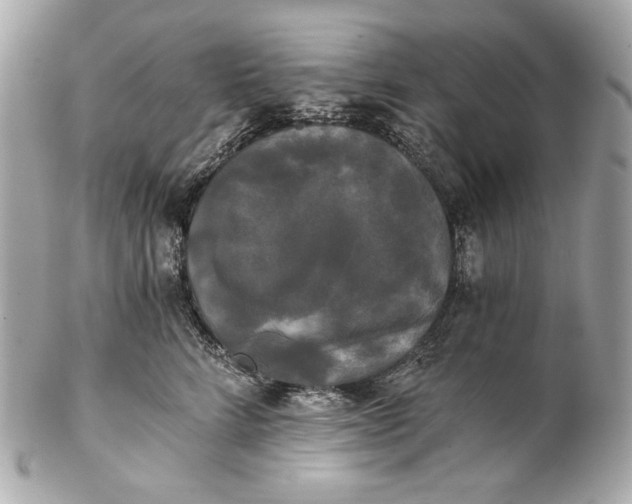 X0000102240712200808151753