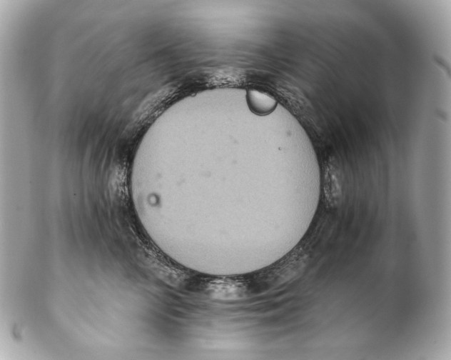 X0000102240714200808151753