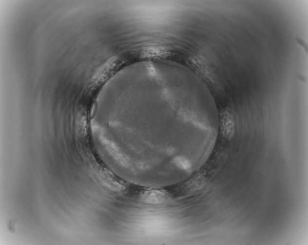 X0000102240716200808151753