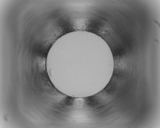 X0000102240717200808151753