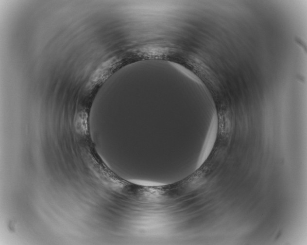 X0000102240718200808151753