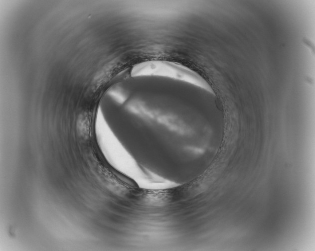 X0000102240720200808151753