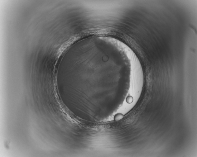 X0000102240721200808151753