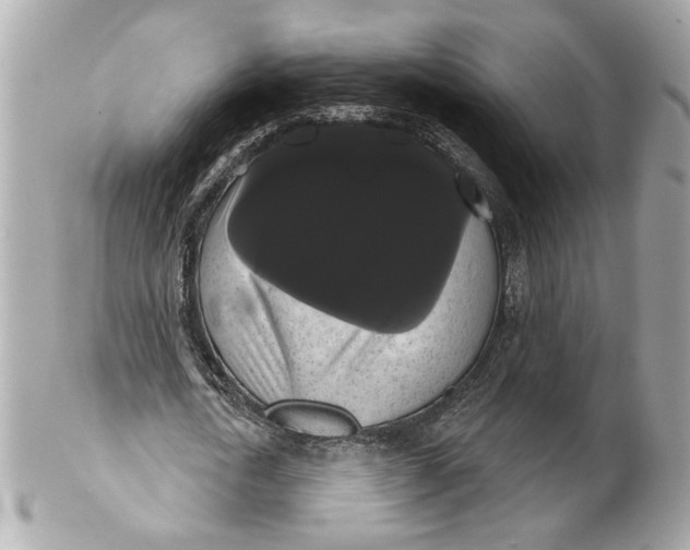 X0000102240722200808151753