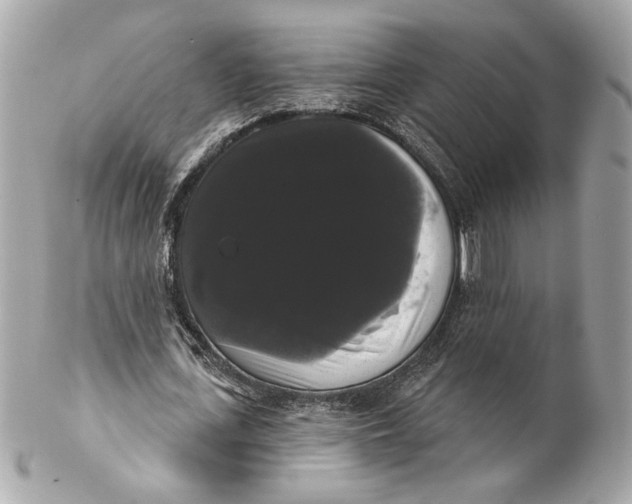 X0000102240723200808151753