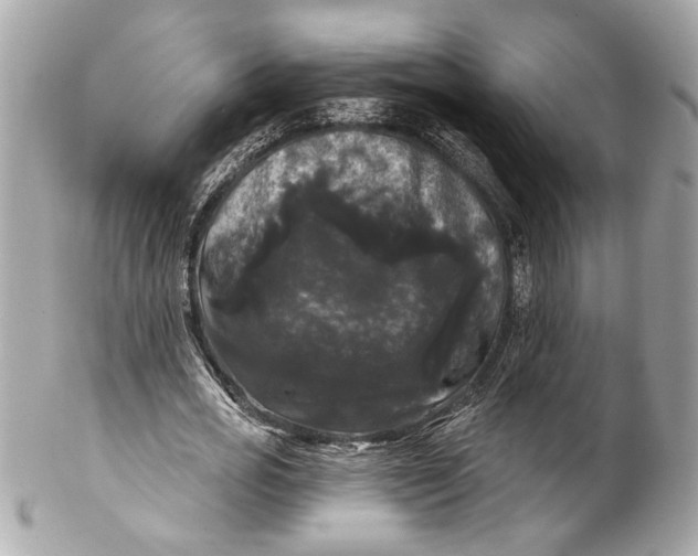 X0000102240725200808151753