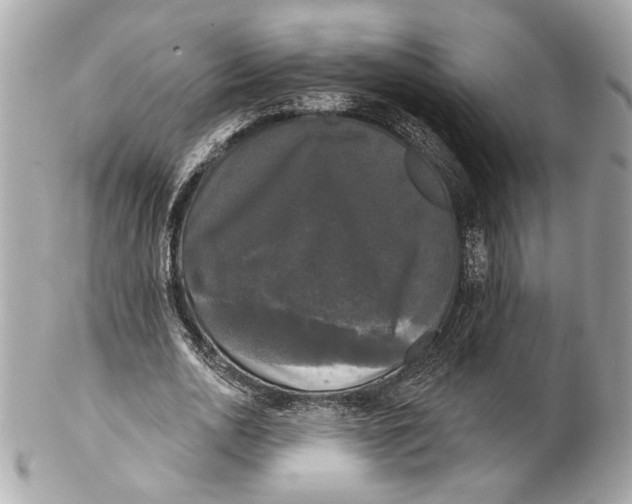 X0000102240726200808151753