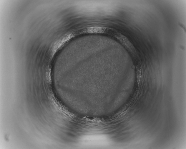 X0000102240727200808151753