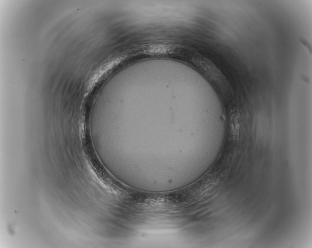 X0000102240728200808151753