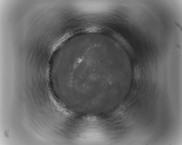 X0000102240730200808151753