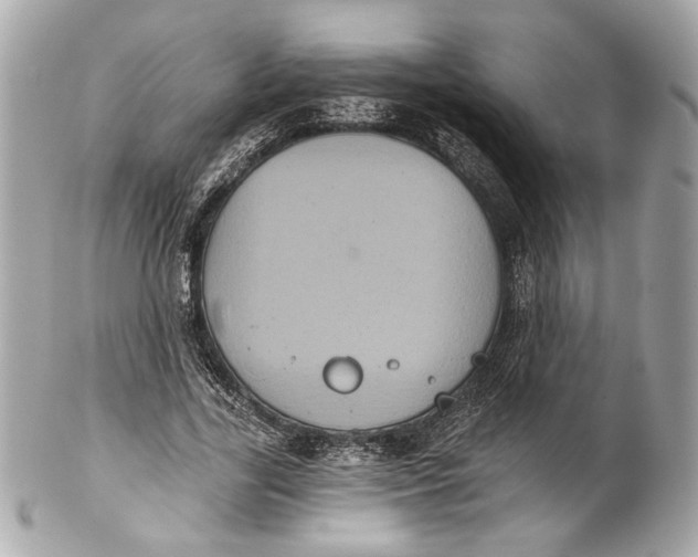 X0000102240731200808151753