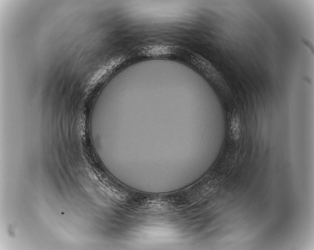 X0000102240732200808151753