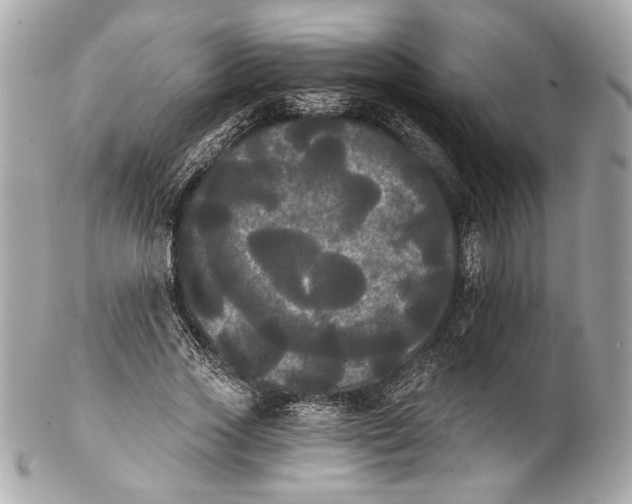 X0000102240733200808151753