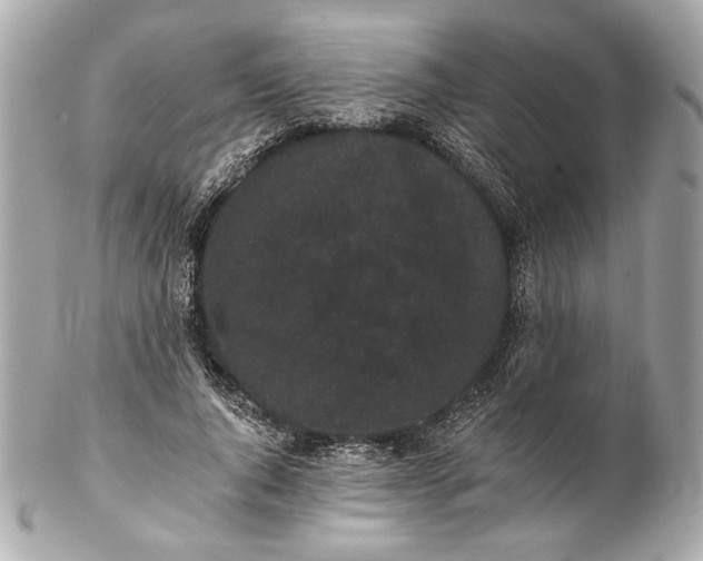 X0000102240736200808151753