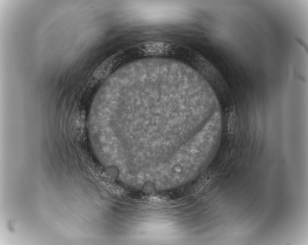 X0000102240737200808151753