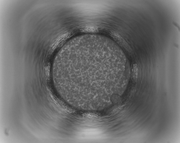 X0000102240739200808151753