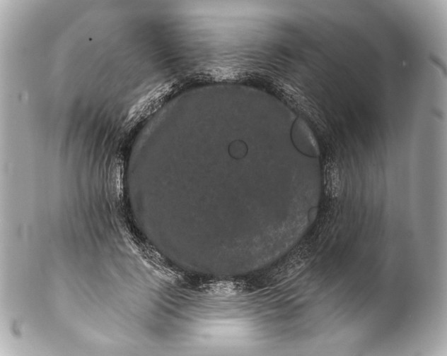 X0000102240740200808151753