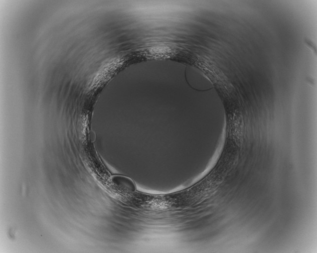 X0000102240742200808151753