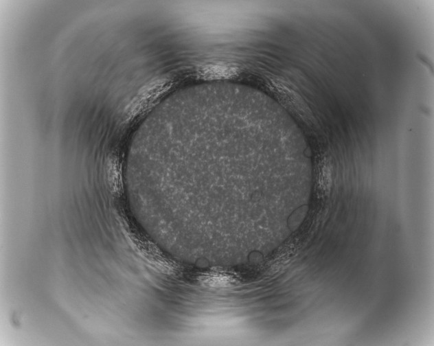 X0000102240743200808151753