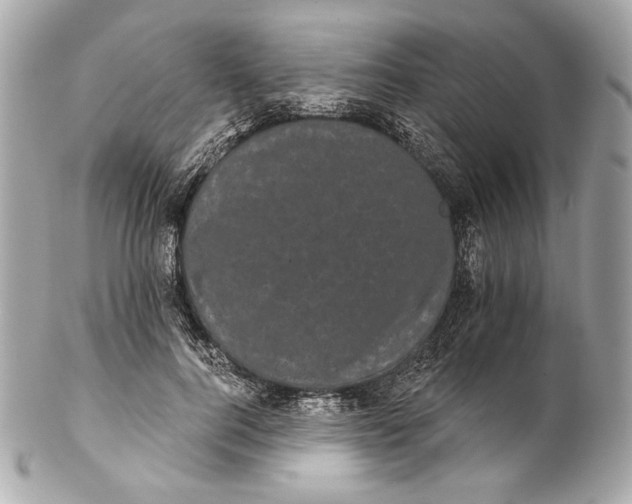 X0000102240744200808151753