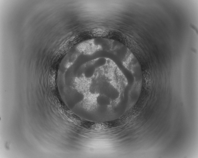 X0000102240745200808151753