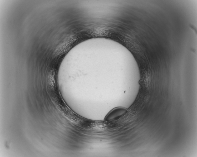 X0000102240746200808151753