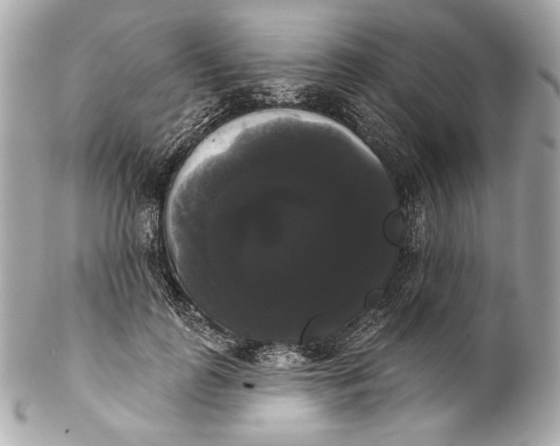 X0000102240747200808151753