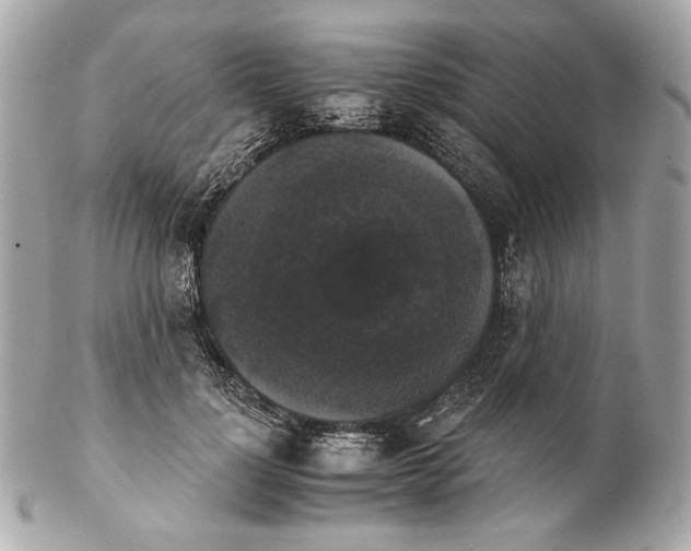 X0000102240748200808151753