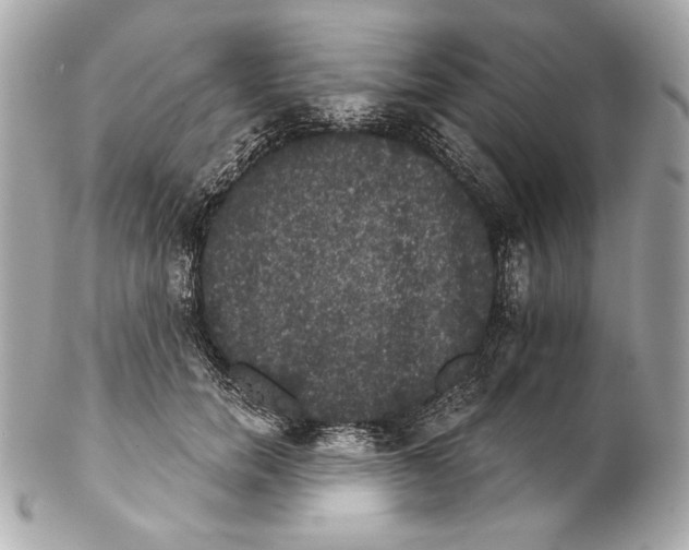 X0000102240750200808151753