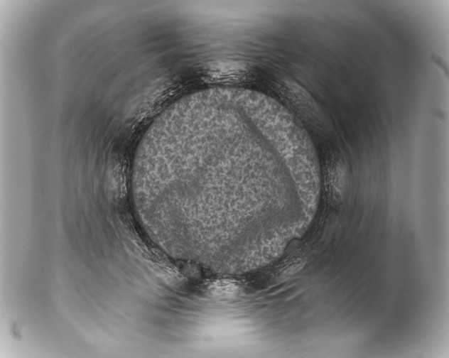 X0000102240751200808151753