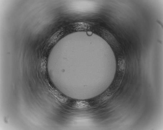 X0000102240753200808151753