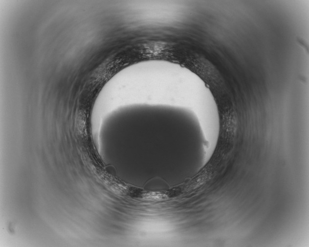 X0000102240754200808151753