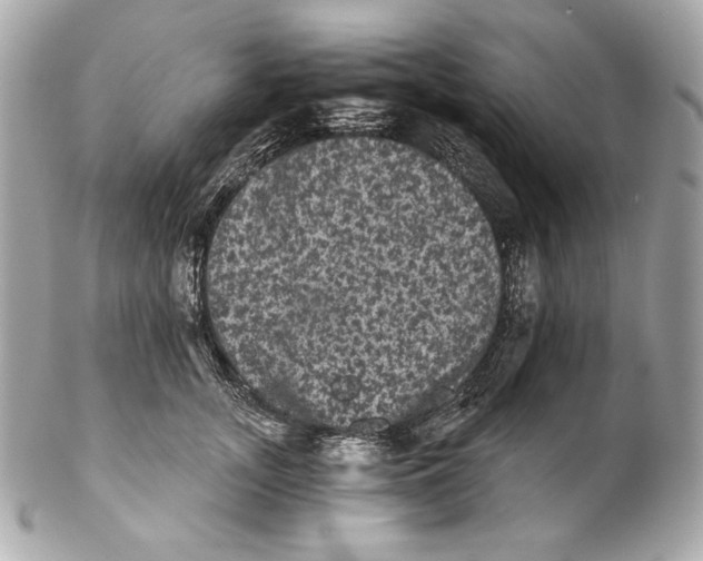 X0000102240755200808151753