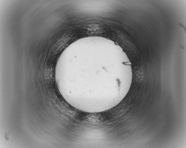 X0000102240756200808151753