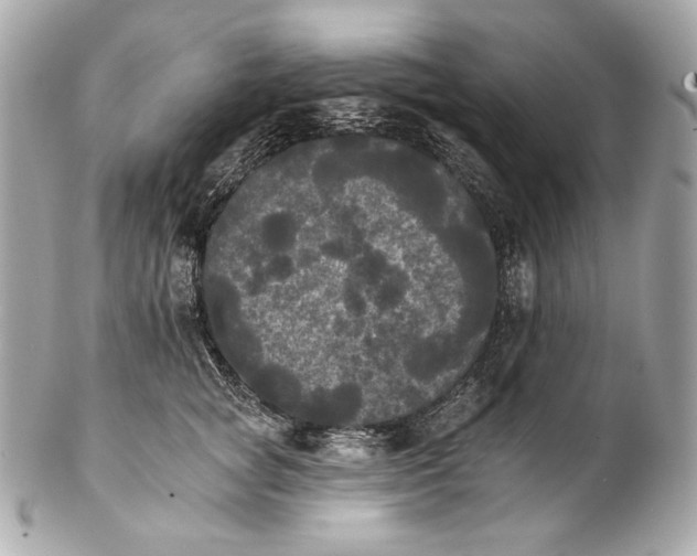 X0000102240757200808151753