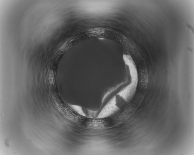 X0000102240758200808151753