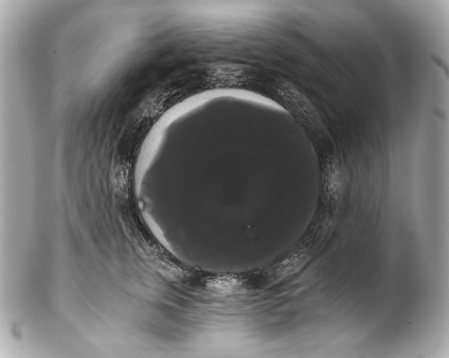 X0000102240759200808151753